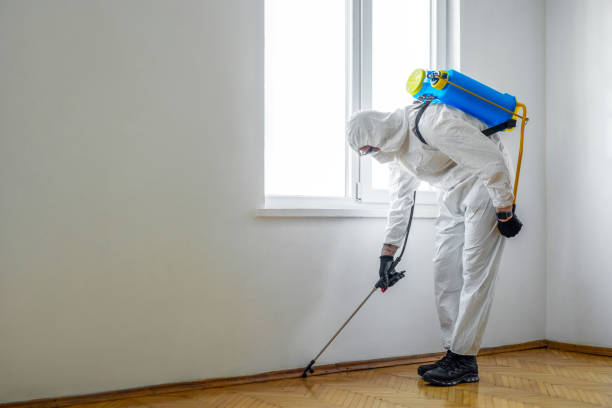 Best Pest Control for Homes  in Mcleansville, NC